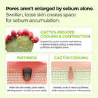 Cactox Pore Relief Jelly Serum Mist